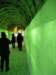 anotherviewofthetunnel_small.jpg