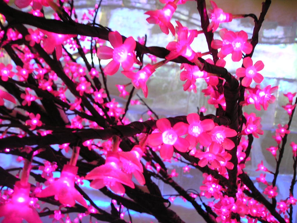 bloomingtrees3.jpg