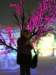 bloomingtrees4_small.jpg