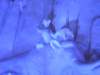 iceage7_small.jpg