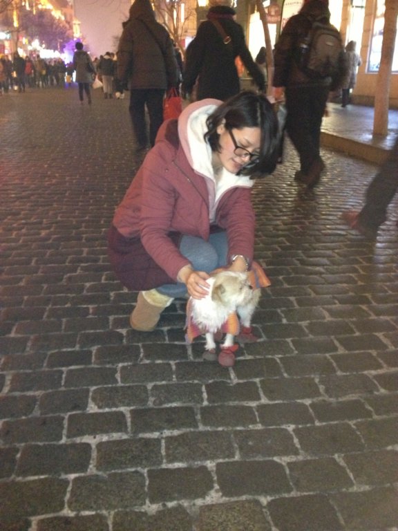 acutelittledog.jpg